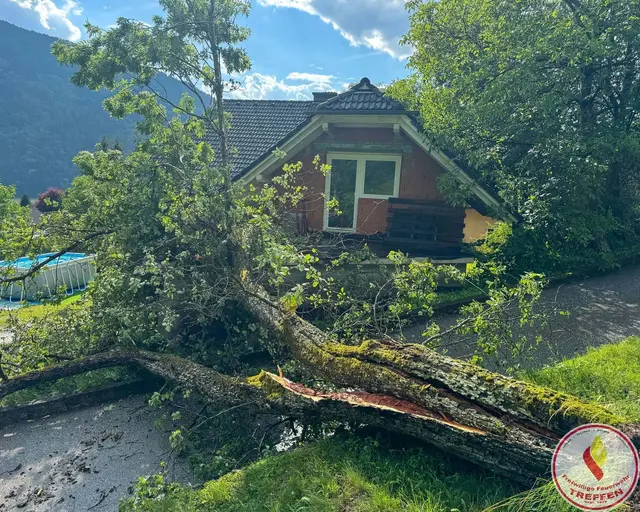 Bilder zum Einsatz. | Foto: Freiwillige Feuerwehr Treffen