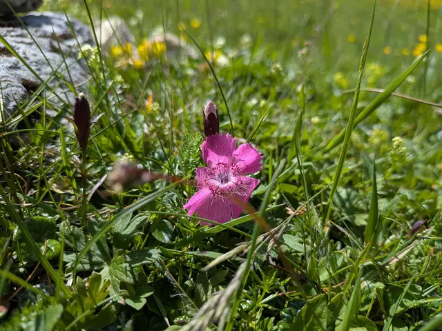 Foto: kfbOÖ/Haslinger