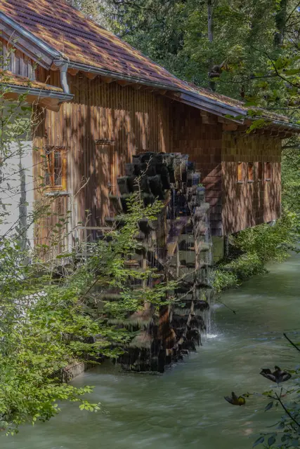 Foto: pexels / Arlind D