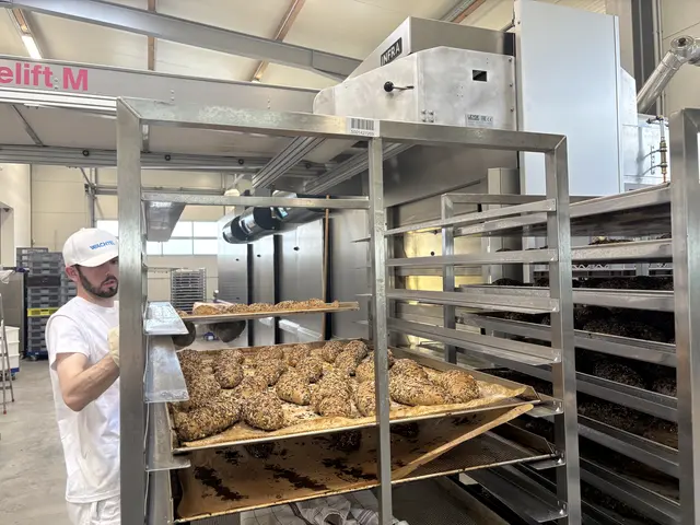 Die Brüder setzen auf traditionelles Handwerk und lange Teigführung. | Foto: Dorottya Fejes/MeinBezirk
