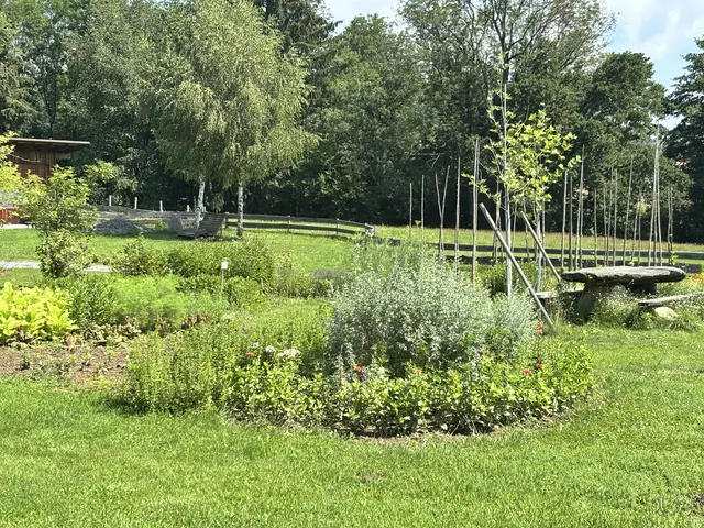 Foto: MeinBezirk