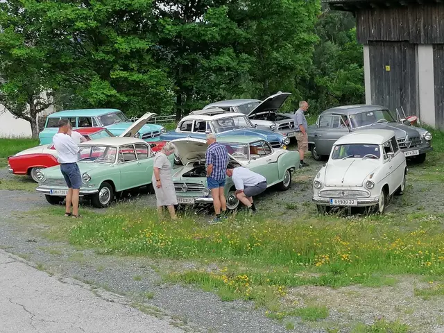 Legendäre Borgward-Klassiker erobern Kärnten. | Foto: KK