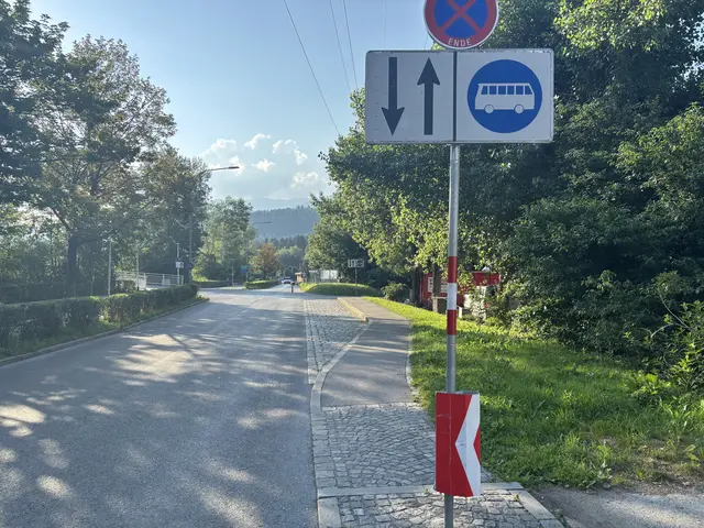 Einbuchtung am Archenweg vor der Brücke, eine mögliche Lösung für eine Bushaltestelle? | Foto: MeinBezirk