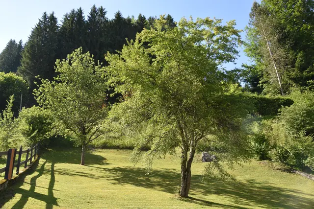 Garten-Paradies in Göstling an der Ybbs