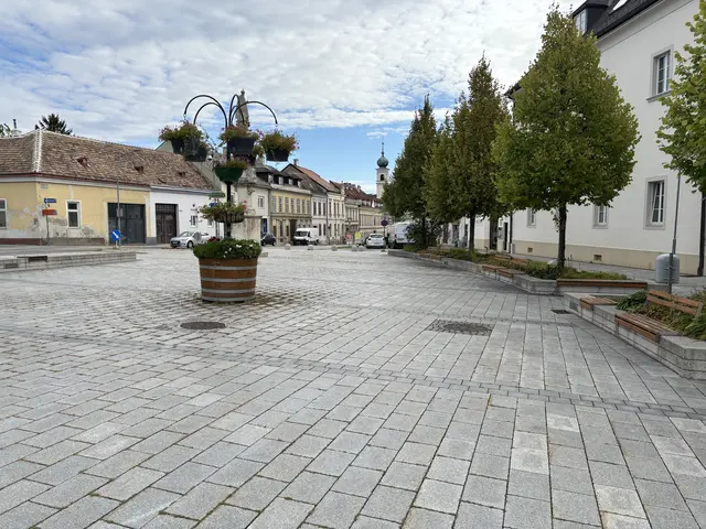 Greenpeace erkennt großen Handlungsbedarf bei der Beschattung und Begrünung in der burgenländischen Landeshauptstadt. | Foto: Stefan Schneider/MeinBezirk