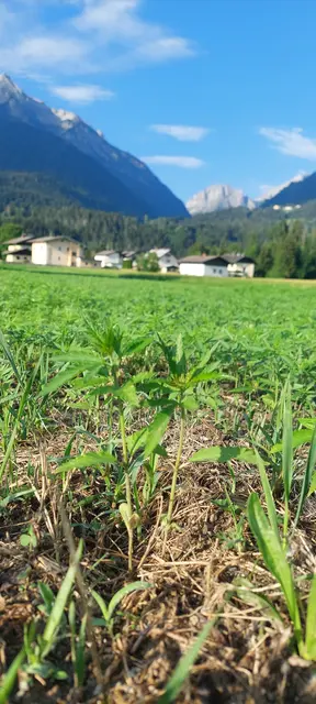 Foto: KLAR! Karnische Anpassung