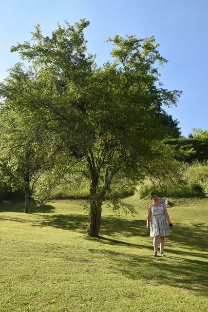 In ihrem kleinen Garten-Paradies in Göstling an der Ybbs ist die Saatgut-Erhalterin Michaela Hofer voll in ihrem Element.
