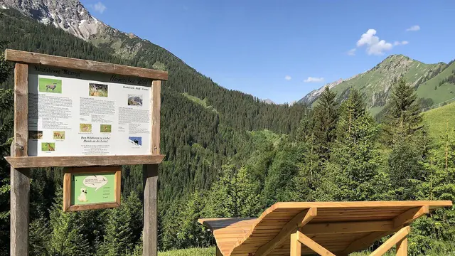 Auf Entdeckungstour im Naturerlebnisweg Mitteregg mit Wanderung, Spielstationen und Kulturprogramm. | Foto: Alpengasthaus Wechner 