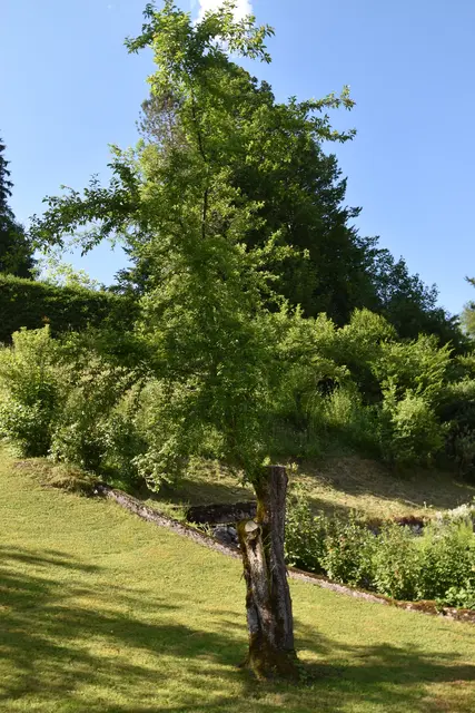 Garten-Paradies in Göstling an der Ybbs