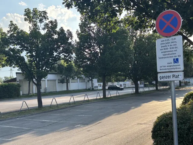 Klare Vorgaben: Momentaufnahmen der Parkplatzmöglichkeiten am Baggersee. | Foto: MeinBezirk