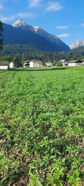 Foto: KLAR! Karnische Anpassung