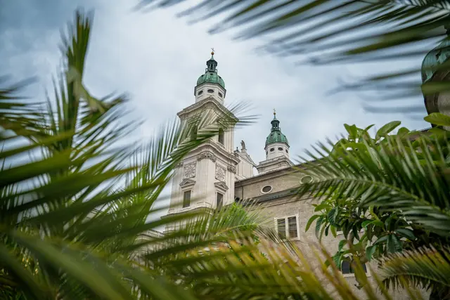 Seit einer Woche bereichert die neue Stadtoase den Kapitelplatz und sorgt für mehr Grün, Schatten und Aufenthaltsqualität in der Salzburger Altstadt.  | Foto: Stadt Salzburg/Alexander Killer