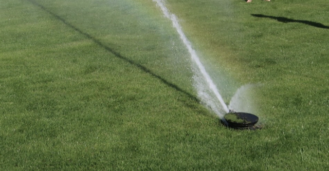 Bewässerung und Gießen von Rasenflächen mit Trinkwasser soll derzeit unterlassen werden. | Foto: Privat