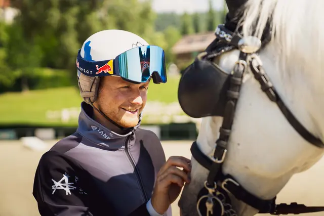Mit den Lipizzanern auf du und du: Arvid Auner in der Arena Piber | Foto: ArVideo
