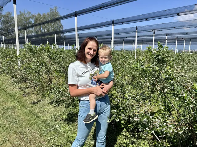 Die Familie beginnt die Erntesaison nächste Woche.