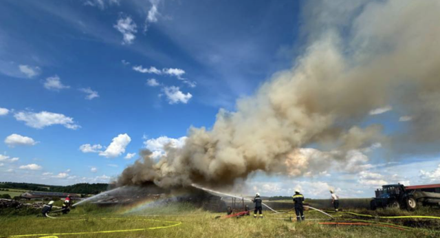 Beim Eintreffen der ersten Kräfte hatte sich das Feuer bereits von dem Holzhaufen auf die umliegende Wiesenfläche ausgebreitet und näherte sich angrenzenden Grundstücken. | Foto: Feuerwehr