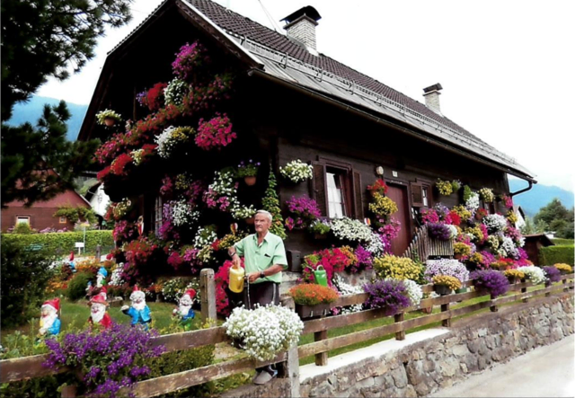 Kleinsassers Garten leuchtet in den unterschiedlichsten Farben.  | Foto: Privat