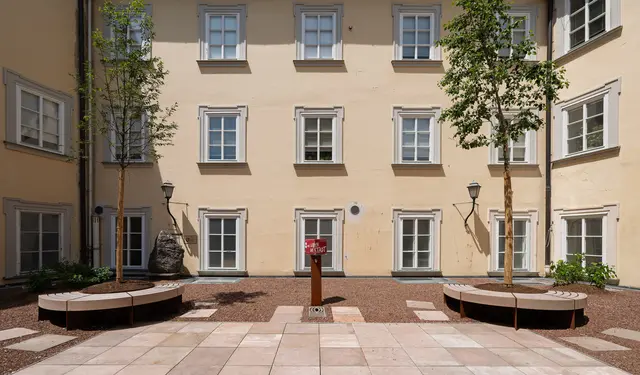 Die Dachterrassenbegrünung im Haus der Natur ist abgeschlossen - Besucherinnen und Besucher des Museums können die Innenhofterrasse demnächst wieder zum Verweilen nutzen. Seit dem Winter 2022 war diese für die Öffentlichkeit gesperrt. | Foto: Stadt Salzburg/Alexander Killer