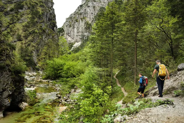 Naturpark Ötscher-Tormäuer  | Foto: weinfranz.at