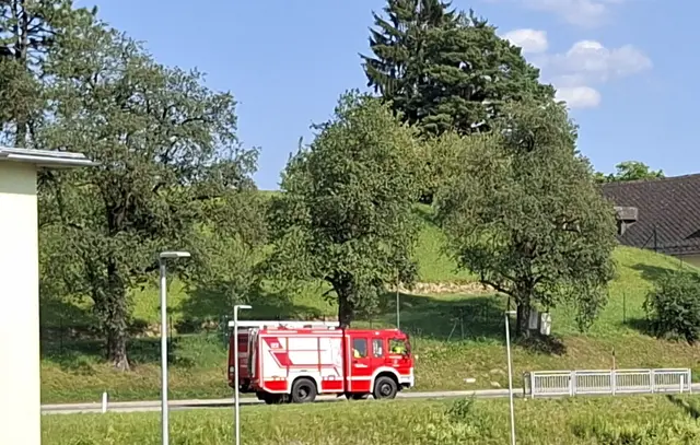 Foto: Kurt Nöhmer 