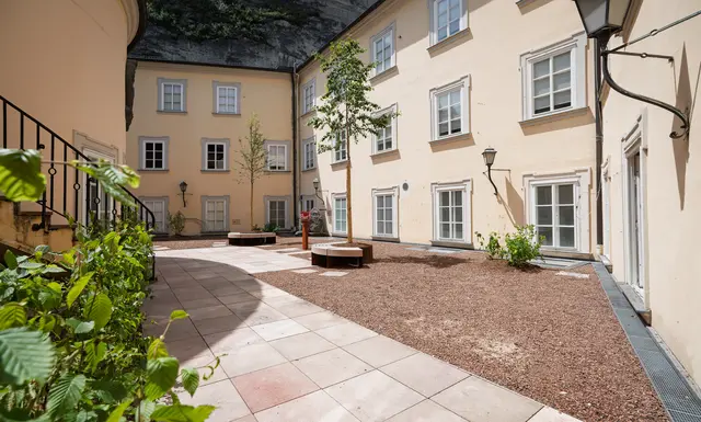 Die Dachterrassenbegrünung im Haus der Natur ist abgeschlossen - Besucherinnen und Besucher des Museums können die Innenhofterrasse demnächst wieder zum Verweilen nutzen. Seit dem Winter 2022 war diese für die Öffentlichkeit gesperrt. | Foto: Stadt Salzburg/Alexander Killer