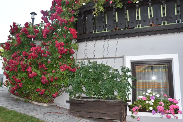 Hildegard und Franz Payreder | Foto: zin