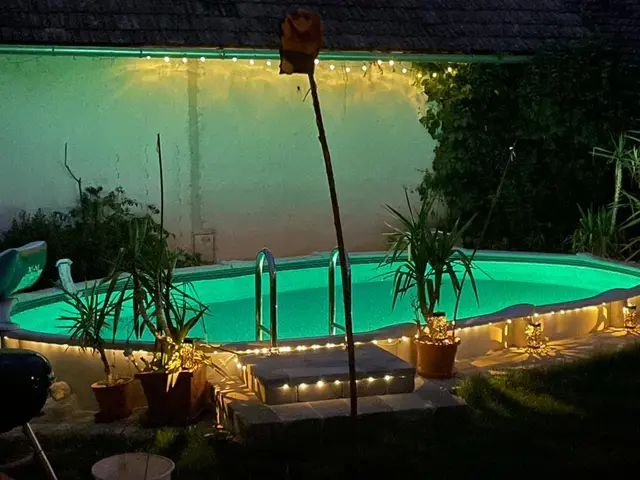 Ein kleines Paradies zu Hause | Foto: Alexandra Goll