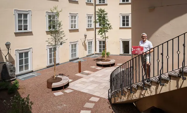 Die Dachterrassenbegrünung im Haus der Natur ist abgeschlossen - Besucherinnen und Besucher des Museums können die Innenhofterrasse demnächst wieder zum Verweilen nutzen. Seit dem Winter 2022 war diese für die Öffentlichkeit gesperrt. | Foto: Stadt Salzburg/Alexander Killer