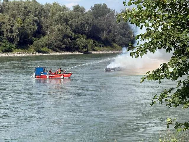 Foto: Bfkdo Amstetten / FF Wallsee