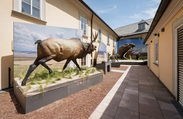 Die Dachterrassenbegrünung im Haus der Natur ist abgeschlossen - Besucherinnen und Besucher des Museums können die Innenhofterrasse demnächst wieder zum Verweilen nutzen. Seit dem Winter 2022 war diese für die Öffentlichkeit gesperrt. | Foto: Stadt Salzburg/Alexander Killer