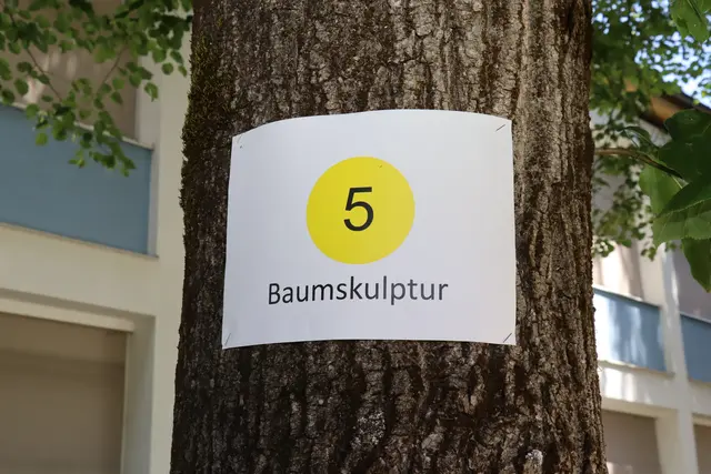 Foto: Kendlbacher