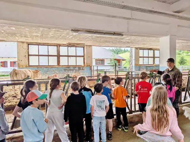 Die VS Schirning im Stall der Murbodner Rinder am Harrerhof. | Foto: privat