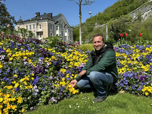 Wie ein farbenfroher Faden ziehen sich bunt blühende Verkehrsinseln und Kreisverkehre durch die Salzburger Stadtteile. Gestaltet und angepflanzt von den Salzburger Stadtgärtnern sind sie ein untrügliches Zeichen dafür, dass der Frühling Einzug gehalten hat. | Foto: Lisa Gold