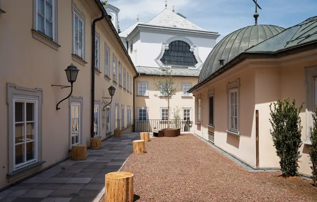 Die Dachterrassenbegrünung im Haus der Natur ist abgeschlossen - Besucherinnen und Besucher des Museums können die Innenhofterrasse demnächst wieder zum Verweilen nutzen. Seit dem Winter 2022 war diese für die Öffentlichkeit gesperrt. | Foto: Stadt Salzburg/Alexander Killer