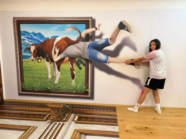 Was ist Kunst - was Realität ... die Wahrnehmungen verschwinden ... | Foto: NMS Rechnitz