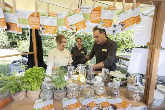 Beim gemeinsamen Kochen unter freiem Himmel möchte die WiG das Thema "gesunde Ernährung" näher bringen.  | Foto: Tirza Podzeit/WiG