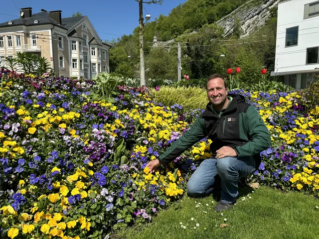 Wie ein farbenfroher Faden ziehen sich bunt blühende Verkehrsinseln und Kreisverkehre durch die Salzburger Stadtteile. Gestaltet und angepflanzt von den Salzburger Stadtgärtnern sind sie ein untrügliches Zeichen dafür, dass der Frühling Einzug gehalten hat. | Foto: Lisa Gold