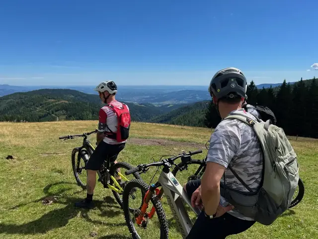 Herrliche Ausblicke auf den Mountainbikestrecken der Lipizzanerheimat | Foto: MeinBezirk/Harald Almer