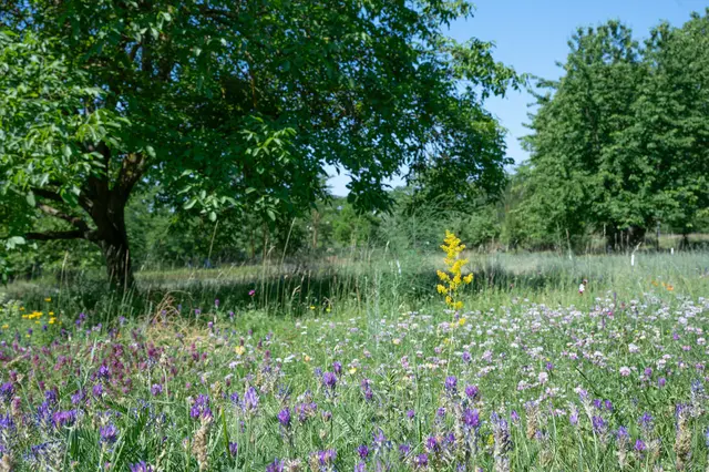 Foto: Walter Kvapil 
