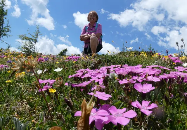 Gigi im Blumenparadies auf dem Edelweißboden