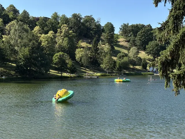 Seit dem Vorjahr gibt es in Forchtenstein ein Trampolin und einen Spinner. Dieser werden vor allem von den Jugendlichen genutzt.  | Foto: Dorottya Fejes/MeinBezirk