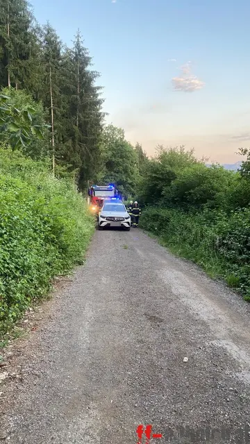 Foto: Feuerwehr Althofen