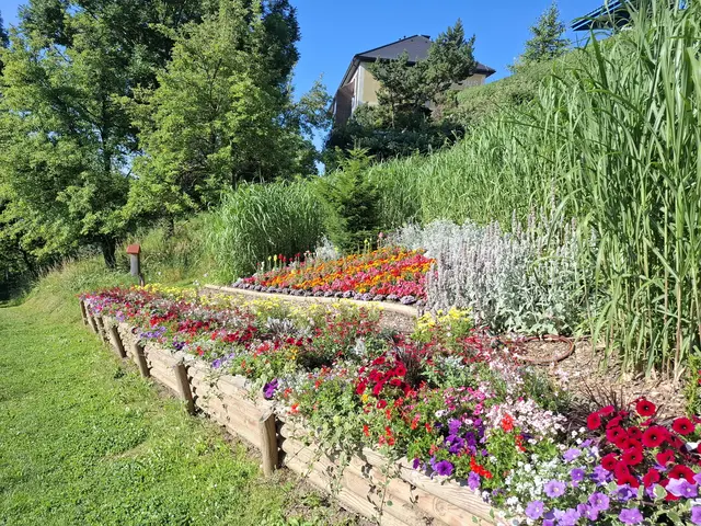 Foto: Gemeinde Pöllauberg