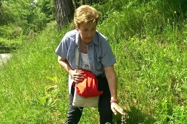 Kräuterpädagogin Christine Ganster führt bei der Kräuterwanderung auf den Schulterkogel in die Welt heimischer Wild- und Heilkräuter ein. | Foto:  Privat/KK