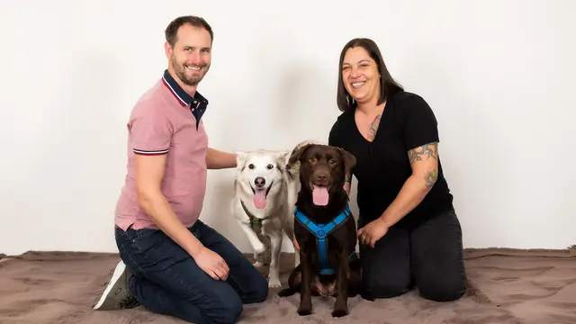 Doggymind gibt praxisnahe Tipps zur Hundebeschäftigung, Auslastung und tierschutzqualifiziertem Hundetraining.
