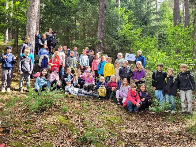 Spannender Vormittag im Waldviertel: Die Kinder erforschten Fauna und Flora vor Ort. | Foto: VS Groß Gerungs
