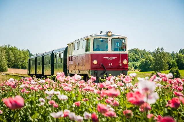 Diesel-Nostalgiezug | Foto: NOEVOG_Mikscha