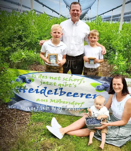 Seit fünf Jahren baut die Familie Draxl in Möbersdorf Heidelbeeren an. 