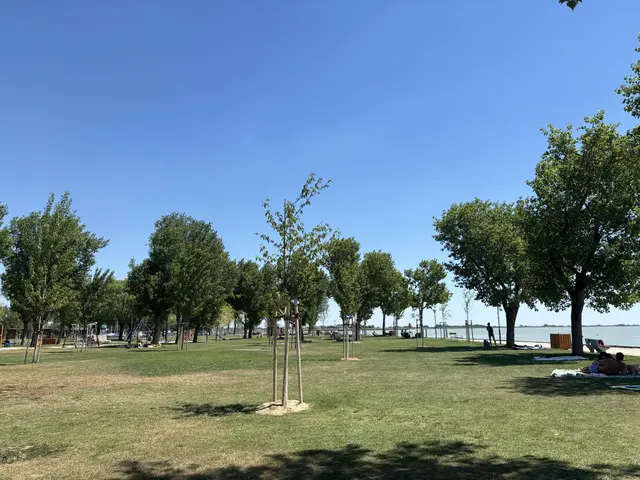 Unter der Woche ist es auch in Neusiedl am See noch recht ruhig. An den Wochenenden wird es oft sehr voll heißt es von einigen Gästen. | Foto: Dorottya Fejes/MeinBezirk