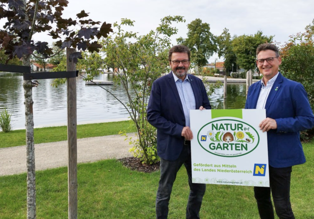 Bürgermeister Gerhard Lentschig zeigt sich grundsätzlich offen, setzt aber klare politische Grenzen! | Foto: Stadtgemeinde Horn